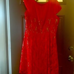 Danny & Nicole Dress